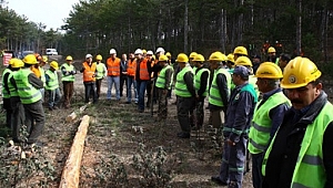 Sözleşmeli Orman Mühendisleri Yerleştirme Sonuçlarına İlişkin OGM Duyurusu