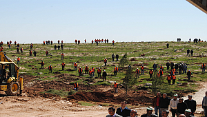 Tarım ve Orman Bakanlığı: 