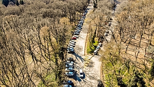 Virüse Aldırmayan Vatandaşlar Belgrad Ormanı'na Akın Etti