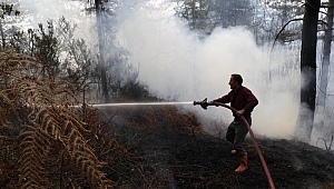 Zonguldak'ta orman yangını