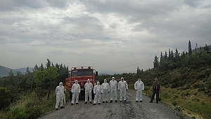 Aliağa Ormanlarında Dumansız Yangın Avcıları İş Başı Yaptı 
