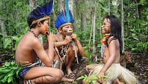 Amazon ormanlarında Covid-19'a yakalanan çocuk hayatını kaybetti