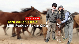 Annesinin bıraktığı taya milli park görevlileri sahip çıktı