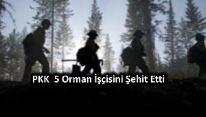 Diyarbakır'da teröristler sivillere saldırdı: 5 şehit