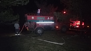 Elektrik telleri ormanlık alanda yangın çıkardı büyümeden söndürüldü