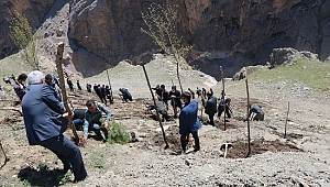 Hakkari'de Bin Adet Fidan Toprakla Buluştu