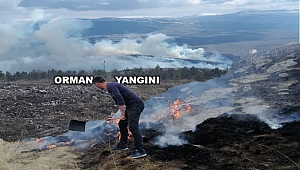Isınmak İsteyen Çoban Orman Yangını Çıkardı 