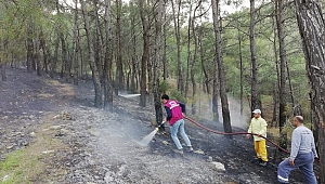 İzmir Menderes’te Çıkan Orman Yangınını Erken ve Hızlı Müdahale Söndürdü