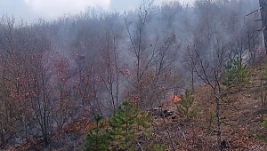 Kütahya Emet'te orman yangını