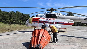 Muğla Ormanlarının Ateş Kuşu Yuvaya Döndü