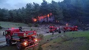 Seydikemer’de orman yangını