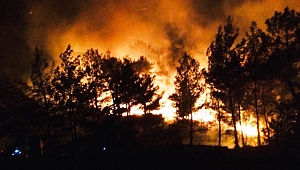 Son 4 Ayda Muğla ve Aydın'da 33 Orman Yangını Çıktı