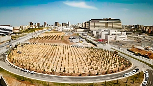 Başakşehir Şehir Hastanesi çam ve sakura ile donatıldı
