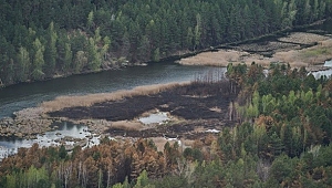 Çernobil yangını, bölgenin bitki örtüsünün yüzde 5'ini yok etti