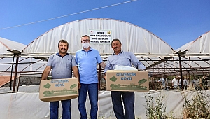 Manisa'nın Orman Köylerinde 579 Aileye 13 Milyon TL Destek