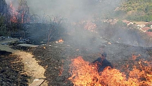 Ağaçlık alan alev alev yandı