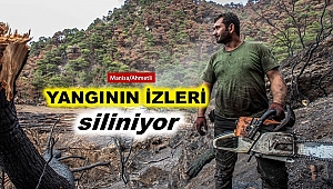 Ahmetli Yangın Bölgesine İlk Fidanlar Yıl Sonunda Dikilecek