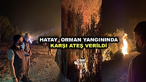 Hatay'daki yangına, karşı ateş tekniğiyle müdahale ediliyor