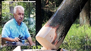 Oğlunun kestiği ağacın dalı başına düşen adam öldü