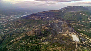 Söke'deki orman yangını kontrol altına alındı