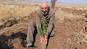 80 yaşında, orman yakanlara inat ormanlar oluşturuyor
