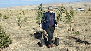 20 yılda 200 bin fidan dikti, 20 orman oluşturdu