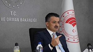 Bakan Pakdemirli: 