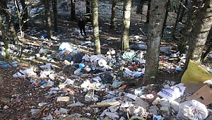 Bolu’da ormanlara atılan çöpler doğal hayatı tehdit ediyor