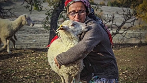 Dağlarda kadın başına 150 koyununa çobanlık yapıyor