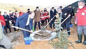 İzmir depreminde hayatını kaybeden116 kişi anısına fidan dikildi