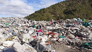 Köylüler ormanlık alana dökülen çöplerden şikayetçi