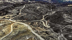 Manisa'nın Gördes ilçesinde yangın yaraları sarılıyor