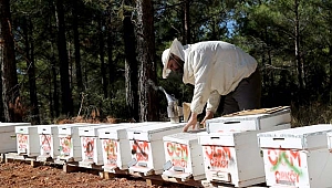 ORKÖY'den Aydın ve Muğla köylüsüne 4,5 milyon TL destek