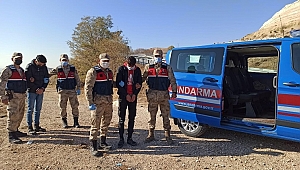 Ormanda kazık çalarken yakalandılar