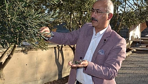 Prof. Dr. Fatih Satıl: 