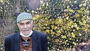 10 bin fidan dikip çöplük alanı ormanlık alana çevirdi