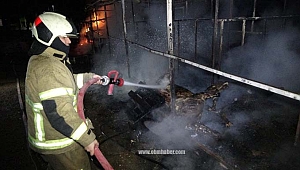 At çiftliği alev alev yandı: 10 at yanarak öldü 