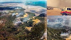 Avustralya'da çıkan orman yangını nedeniyle yerleşim yerleri tahliye ediliyor