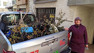 Balkonunda yetiştirip bağışladığı fidanlar toprakla buluşturuldu