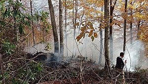 Düzce’de Kasım ayında 5 orman yangını söndürüldü