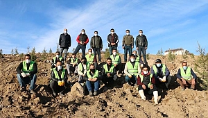 Erciş'in geleceğine nefes olmak için bin 742 adet fidan dikildi
