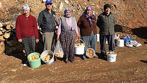 Fakirin eti çıntar için ormana akın başladı