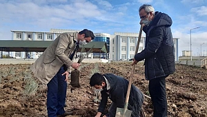 Havsa Meslek Yüksekokulu'nun havası, aromatik bitkilerle değişecek