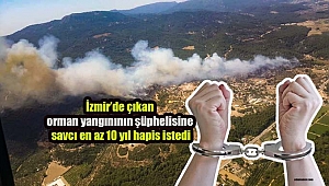 İzmir’de 430 hektar ormanın yanmasına neden olduğu iddia edilen şüpheliye dava