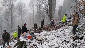 Kar yağışına rağmen 5.5 ton kayın tohumu toprakla buluşturuldu