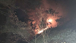 Kastamonu’da çıkan orman yangını kontrol altına alındı