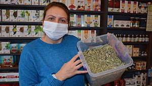 Korona virüse karşı iyi geldiği öne sürülen zeytin yaprağının satışı patladı 