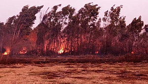 Renk cümbüşünü çekerken aman dikkat