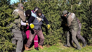 Yılbaşı öncesi kaçak yılbaşı ağacı kesmek isteyen bir kere daha düşünsün