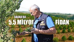 Adana'da Toprakla Buluşan 5,5 Milyon Adet Fidan Geleceğe Nefes Olacak
